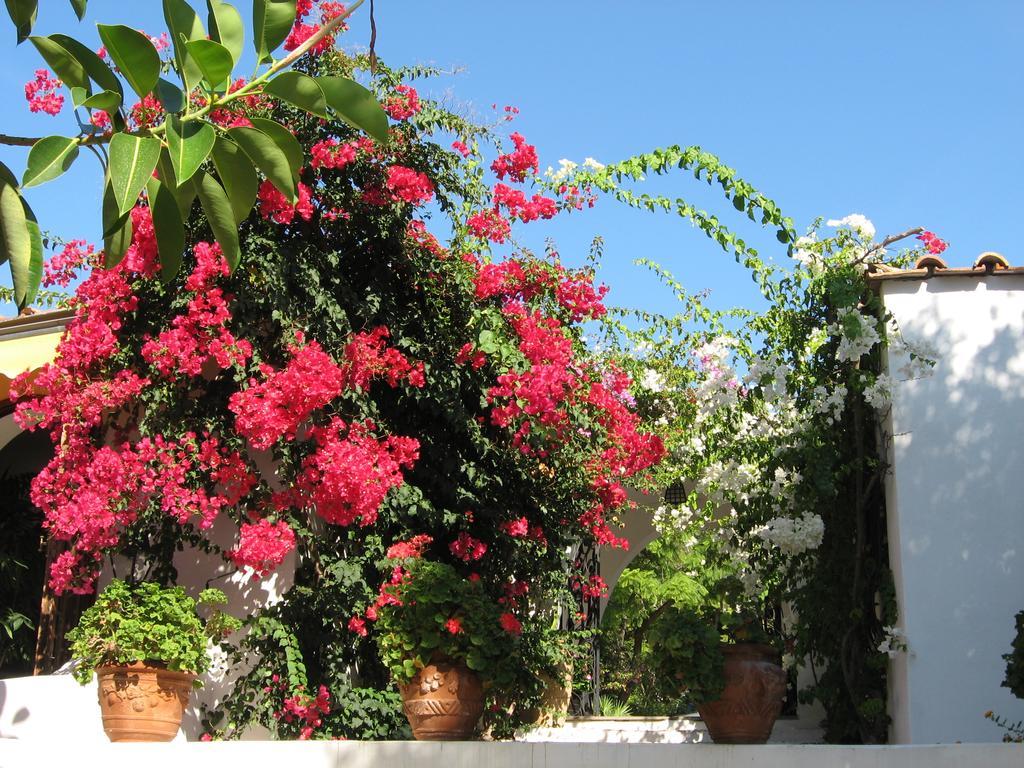 Hotel Punta Rossa San Felice Circeo