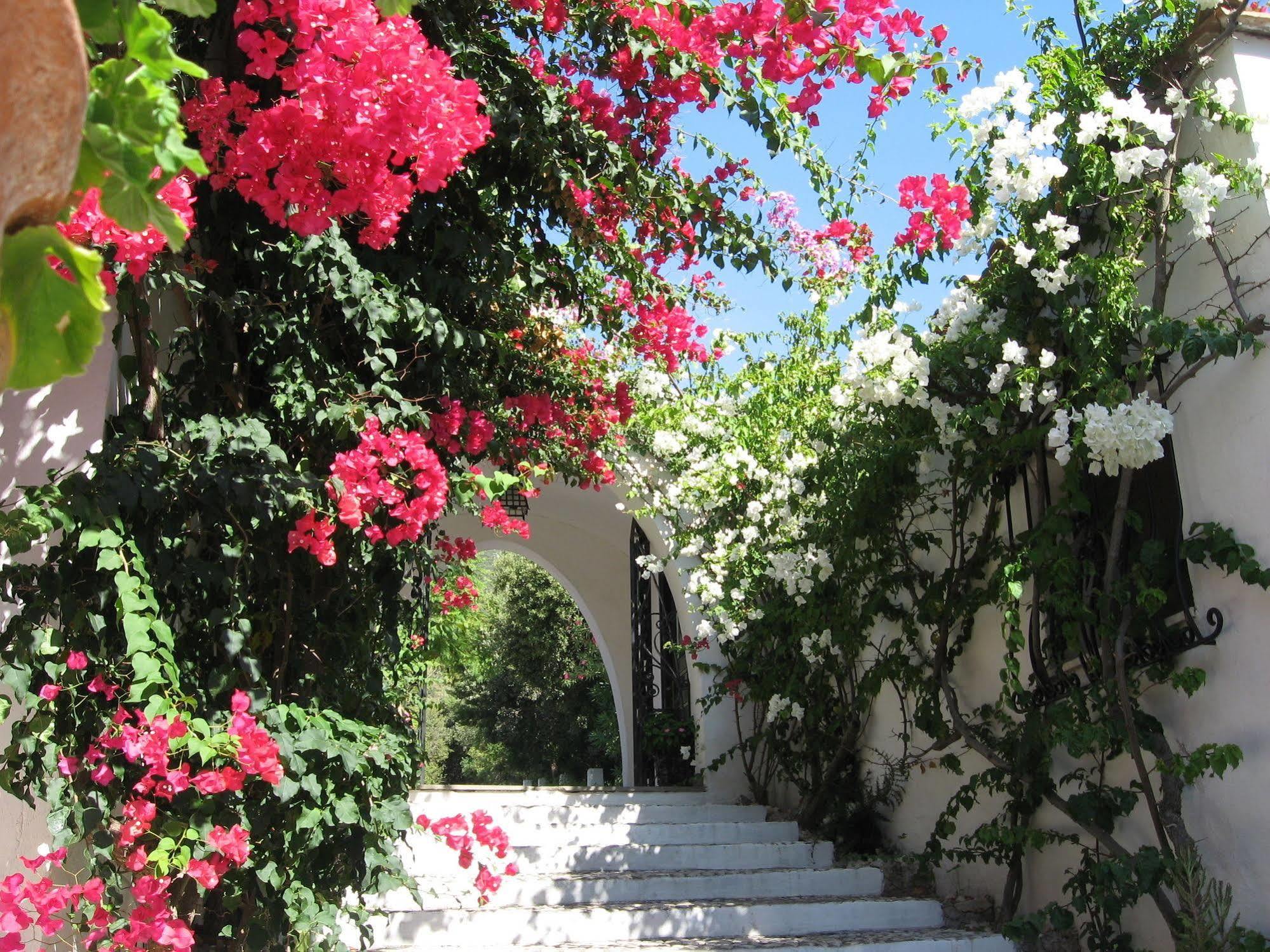 Hotel Punta Rossa